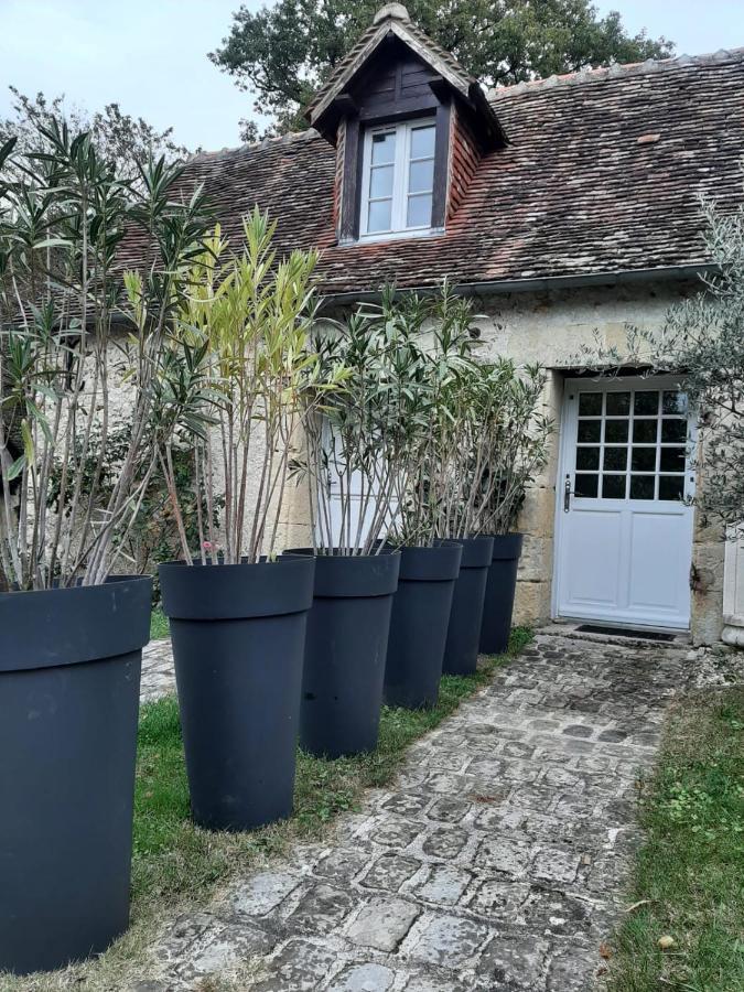 Des Chateaux De La Loire *